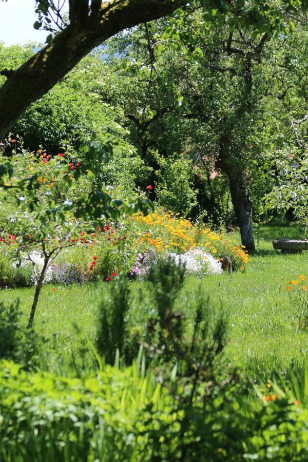 Bed and breakfast Pazo De Chaioso Maceda